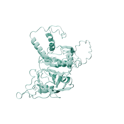 P12644-Human BMP-4-3d structure.jpg